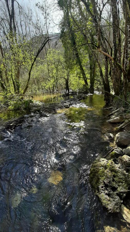 Petite Maison De Village Situee Entre Lacs, Cascades Et Montagnes Virieu-le-Grand Екстер'єр фото